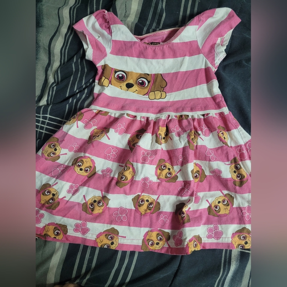 Paw Patrol Pink And White 2t Dress